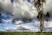 那不勒斯面临人员调整，教练组组队难题