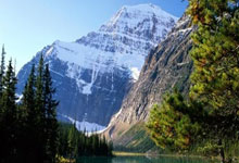 小牛队再战篮网夺取宝贵胜利