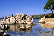 小牛队再战篮网夺取宝贵胜利